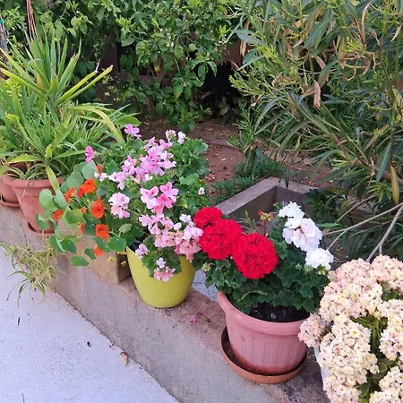 Sunny Garden House Julija - 2 Min To Lejlighed