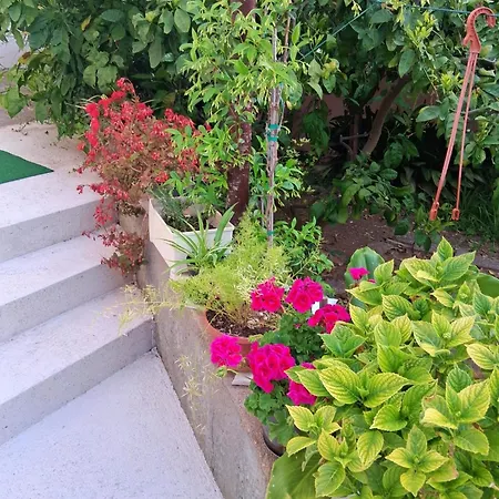 Sunny Garden House Julija - 2 Min To *
